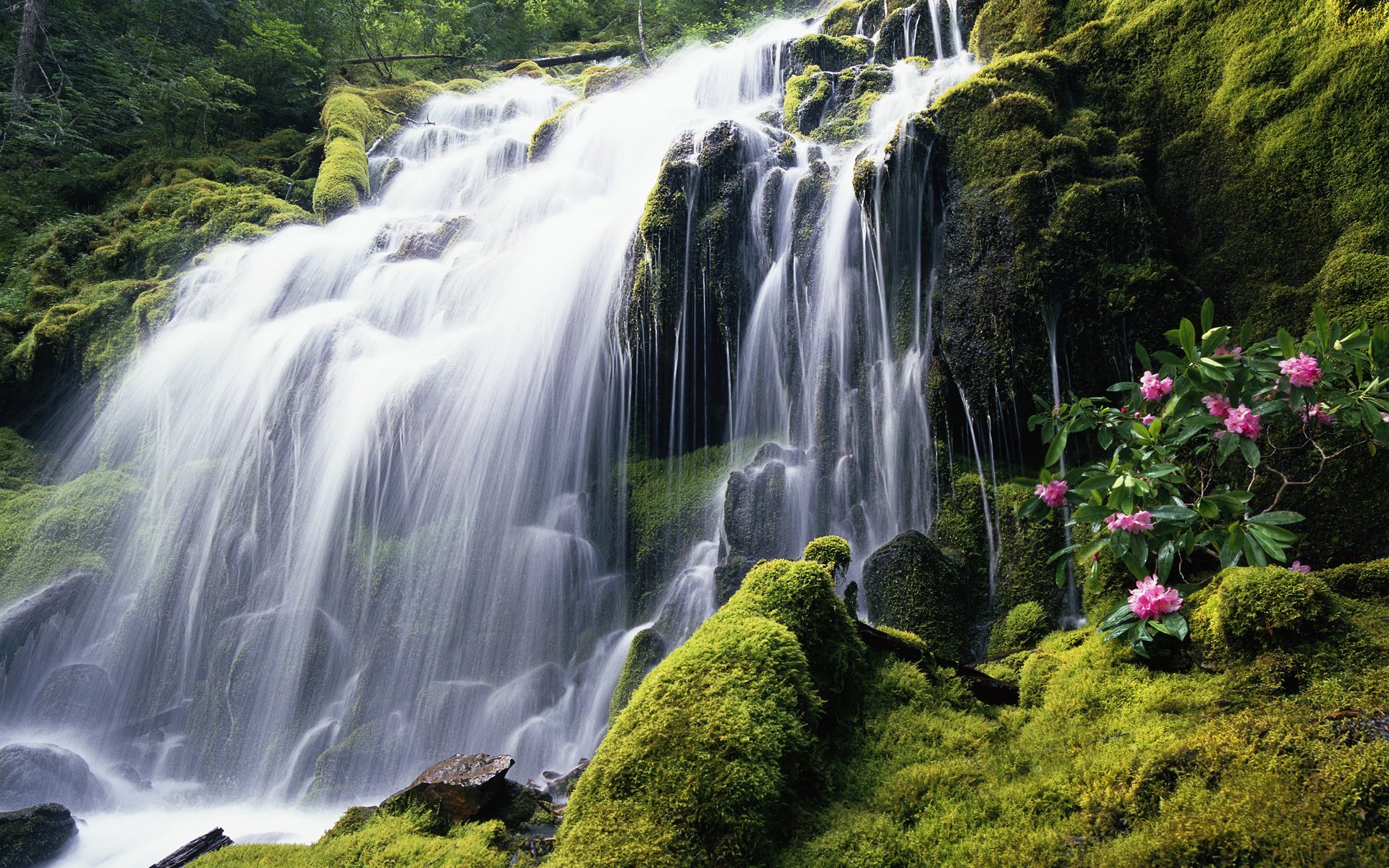 Трехсот лет более красивейший. Водопад Мосбрей, США. Водопад Сороа. Водопад прокси, Орегон. Красивая природа водопад.
