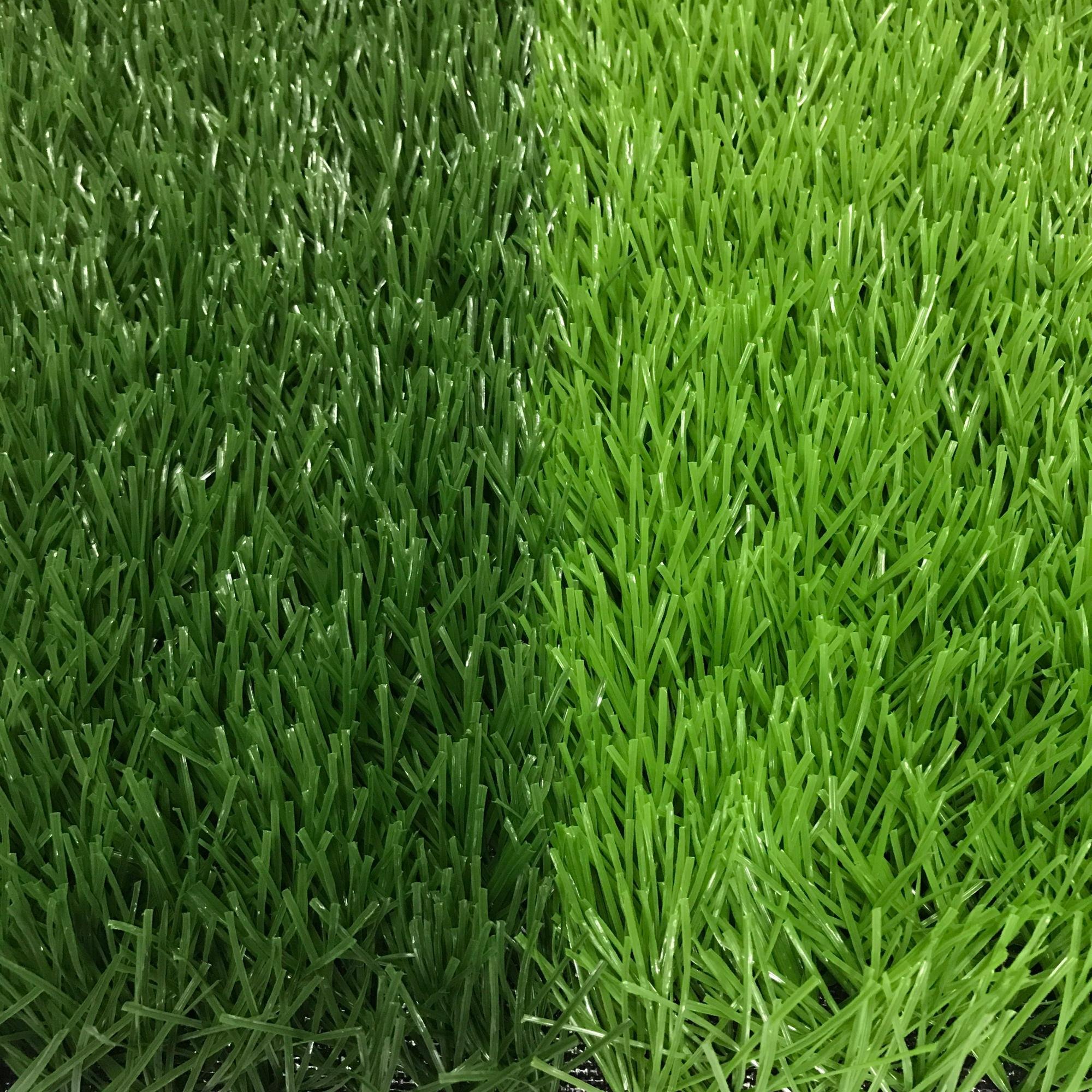 Grass price
