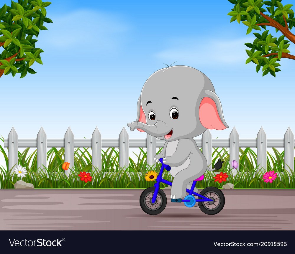 Слон на велосипеде