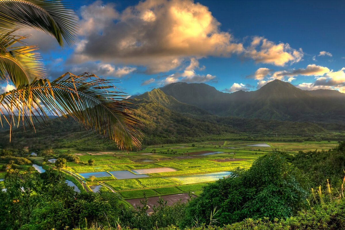 Остров Оаху Гавайи природа