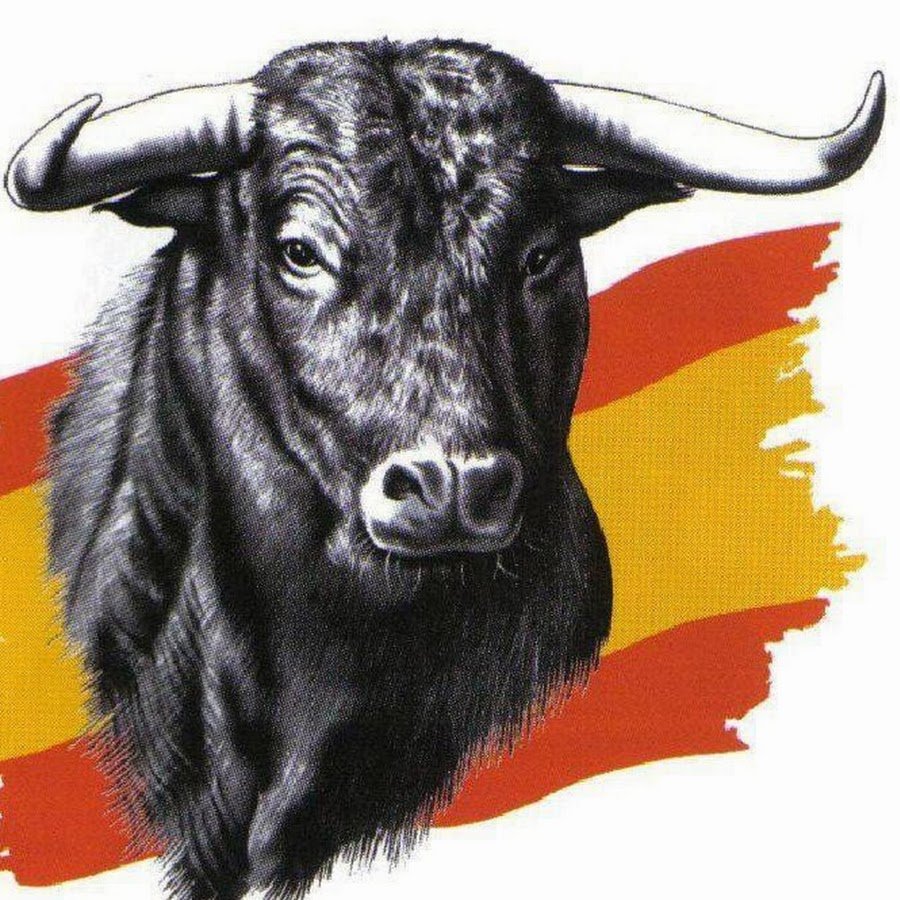 Испанский бык рисунок