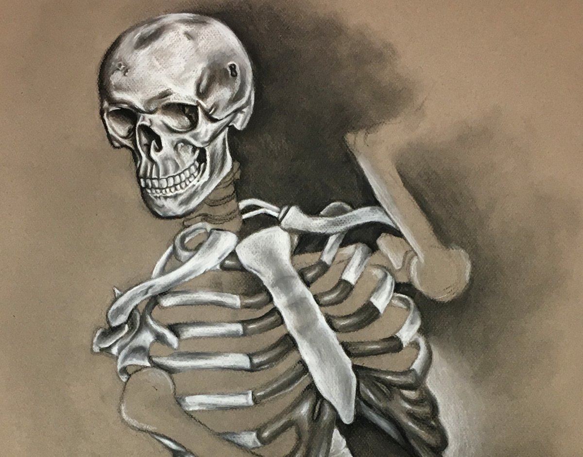 Основы рисования скелета