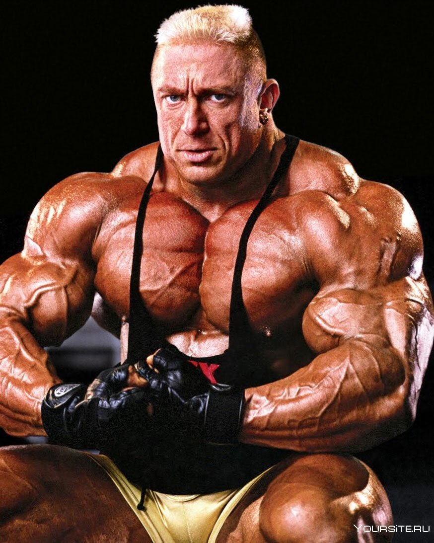 Хади Чулпан