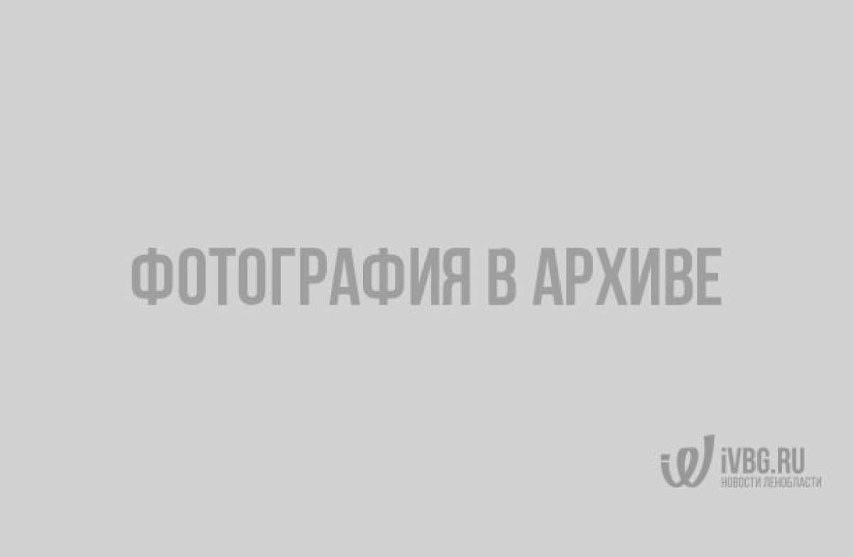 Алена Косторная