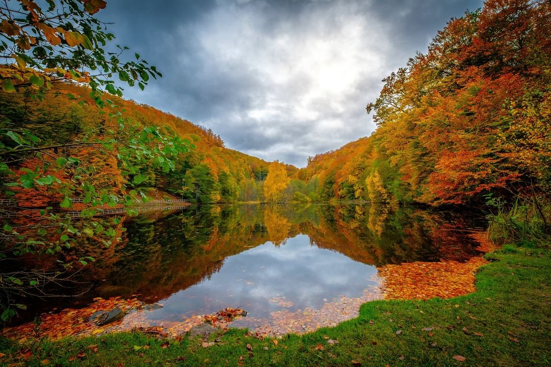 Осенний фон озеро
