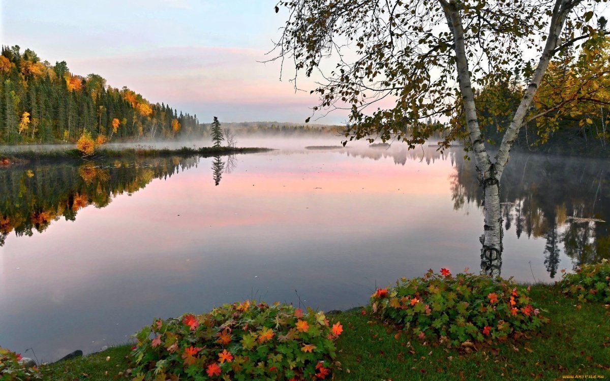 Осень березы озеро