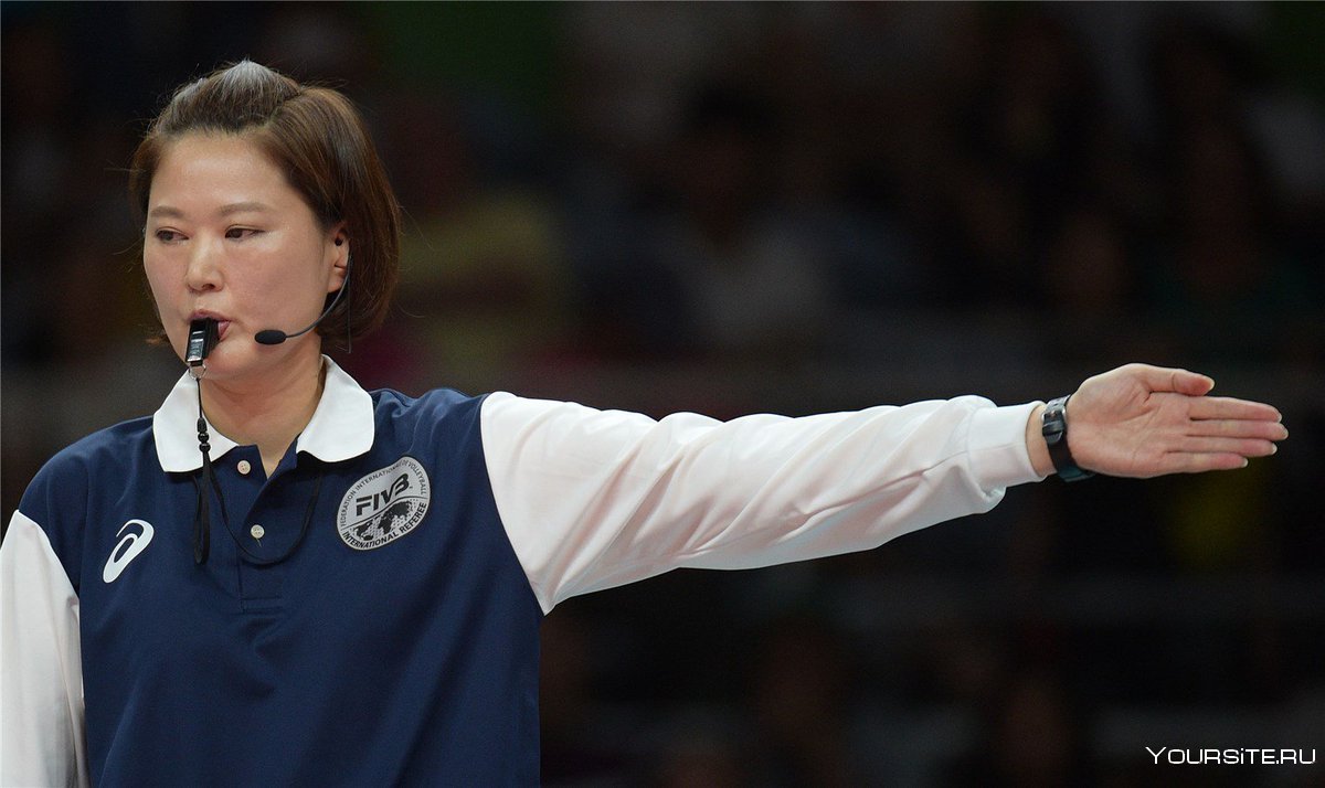 Судейство в волейболе