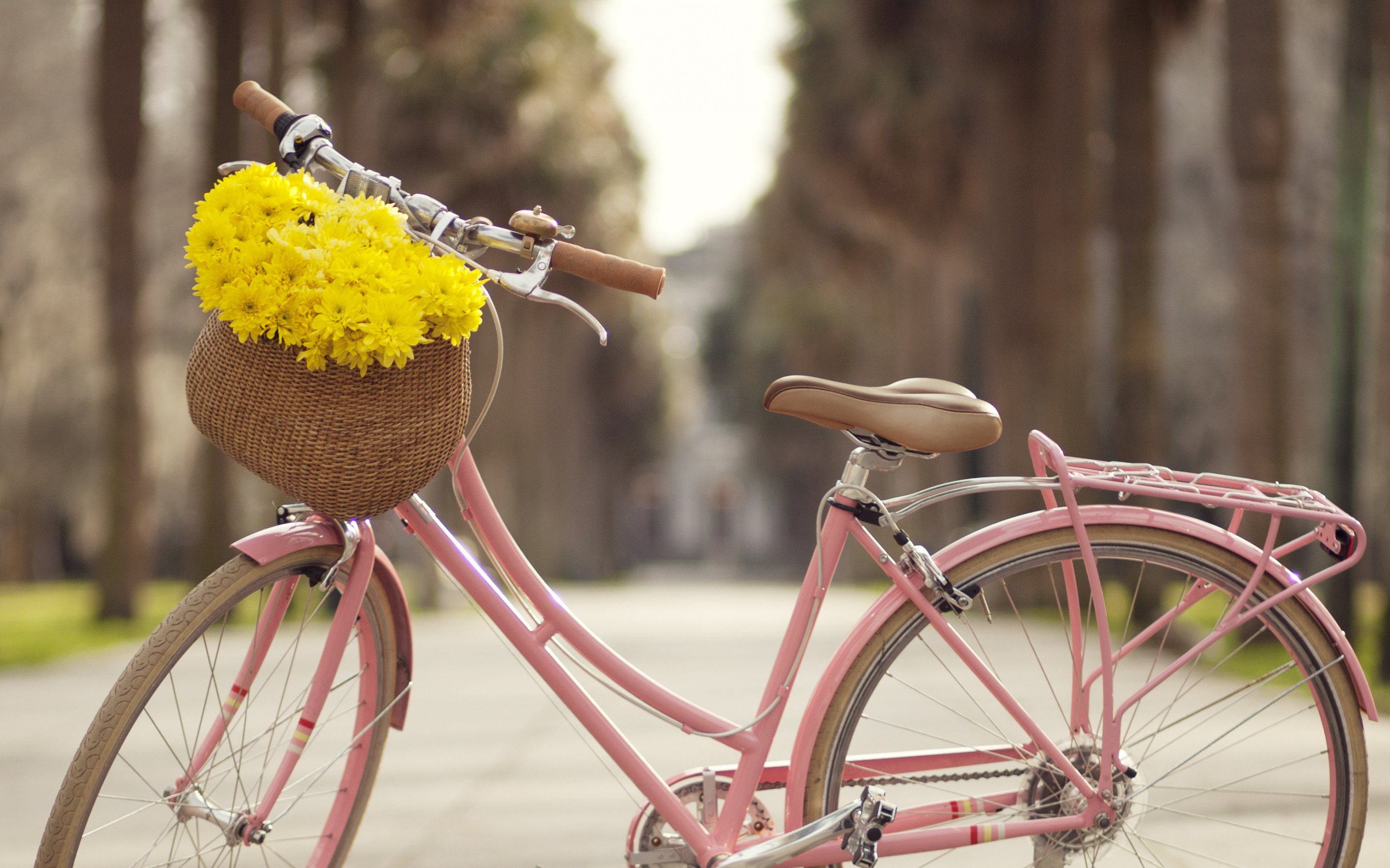 Велосипед в цветах зеленый. Велосипед с цветами. Красивые велосипеды. Велосипед с корзинкой. Велосипед с корзинкой цветов.