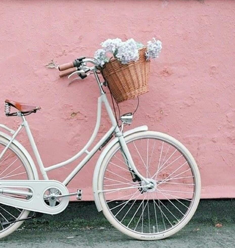 Винтажный велосипед с корзинкой