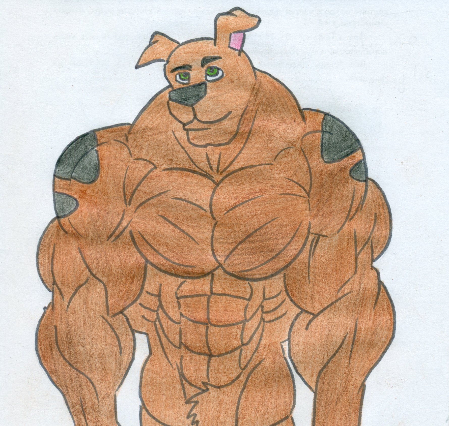 Мышь качок. Скуби-Ду muscle growth. Scooby Doo muscle growth. Muscle growth Брендон. Медведь качок.