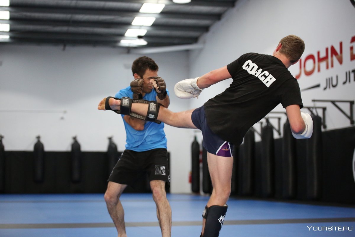 Combat Sambo обои
