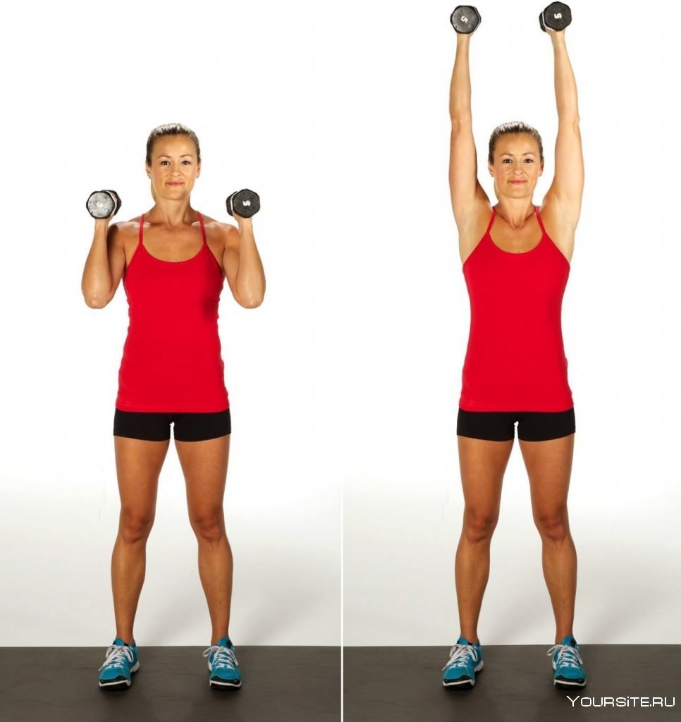 Seated Dumbbell overhead Press