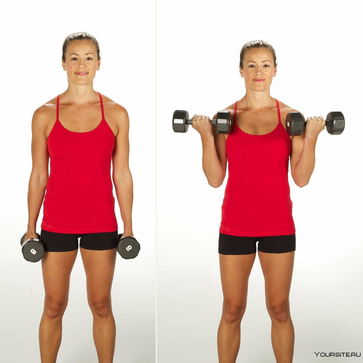 Weight Training Guide Press