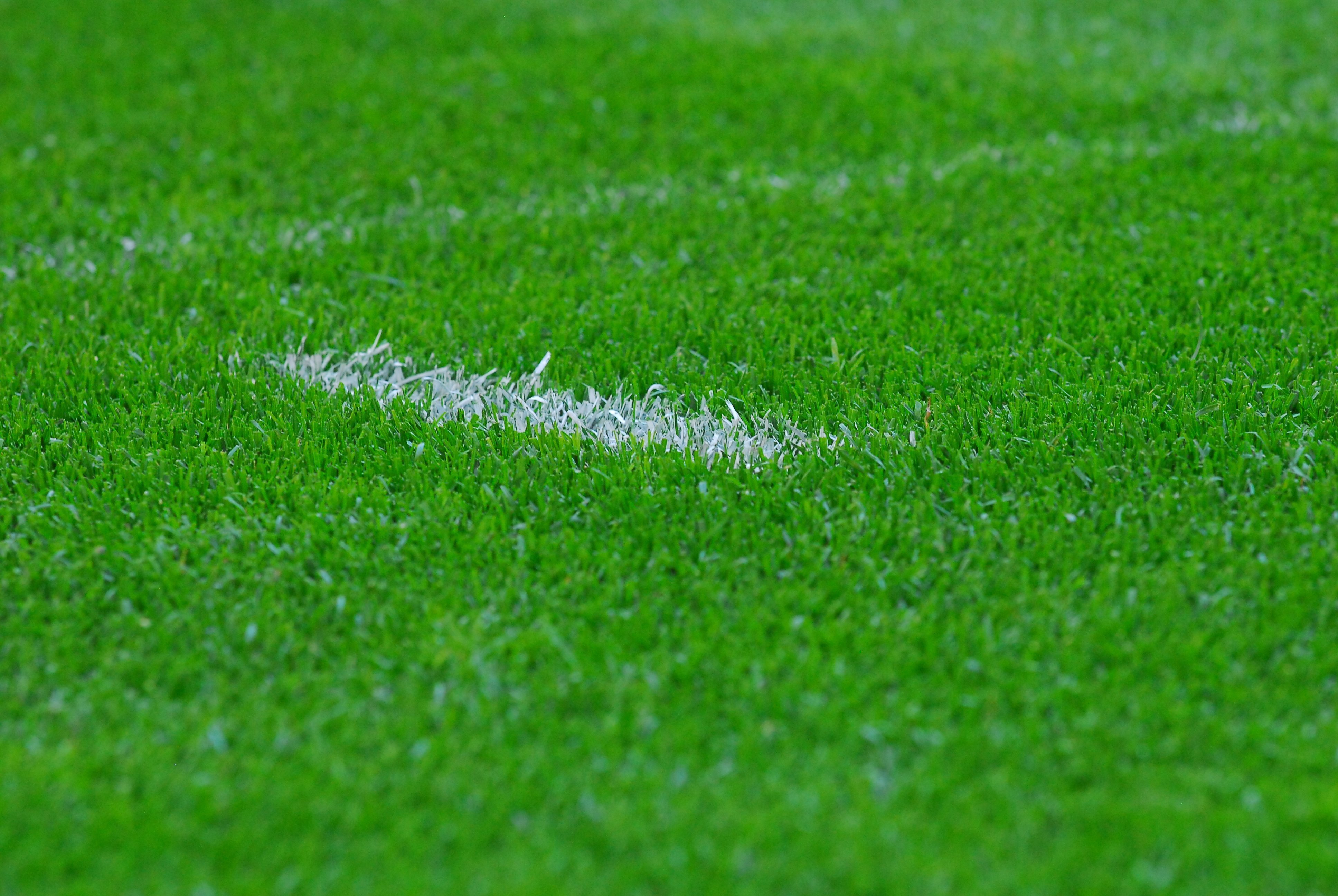 Трава для стадиона. Футбольное поле трава. Футбольный газон. Футбольное поле газон. Стадион трава.