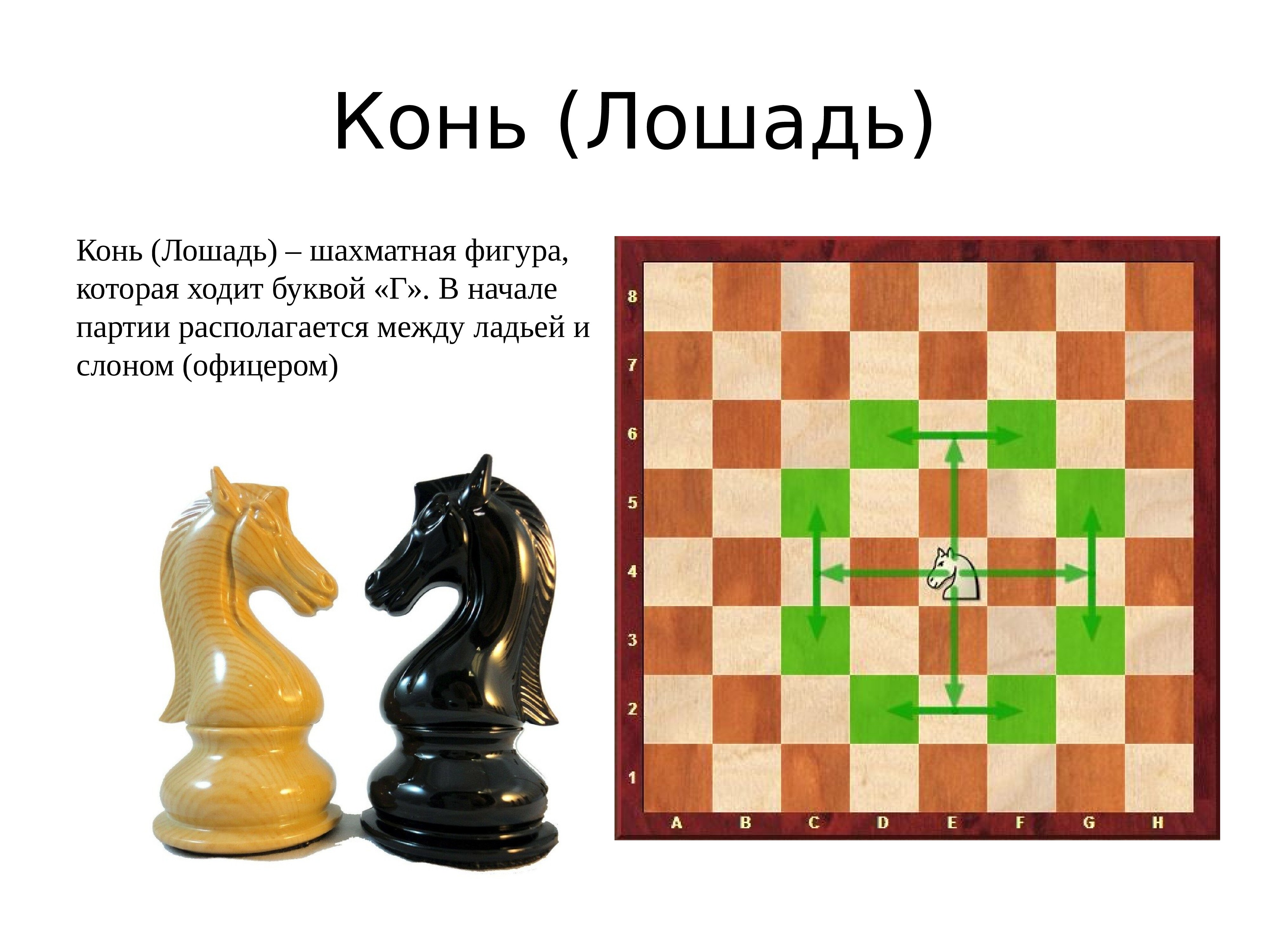 Конь и слон в шахматах
