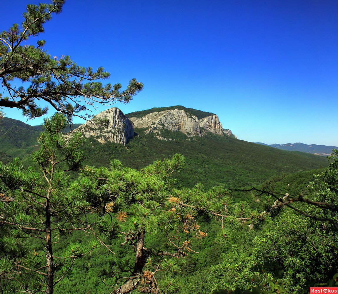 Массив Бойко в Крыму