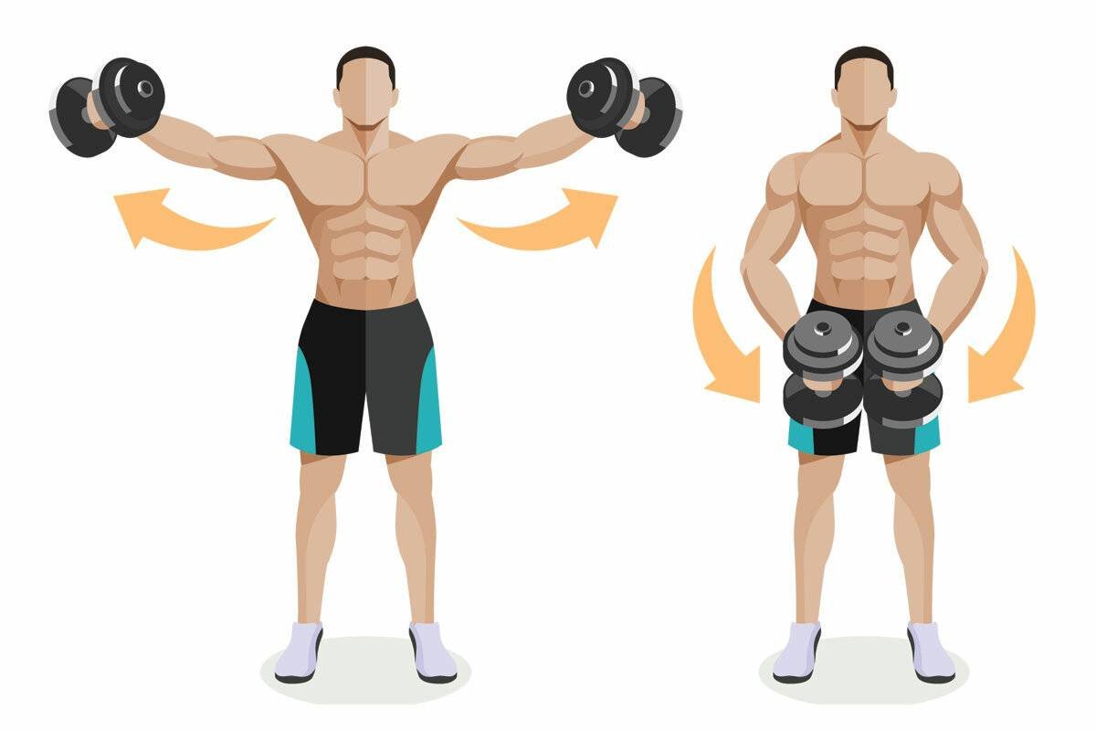 Махи гантелями в стороны стоя