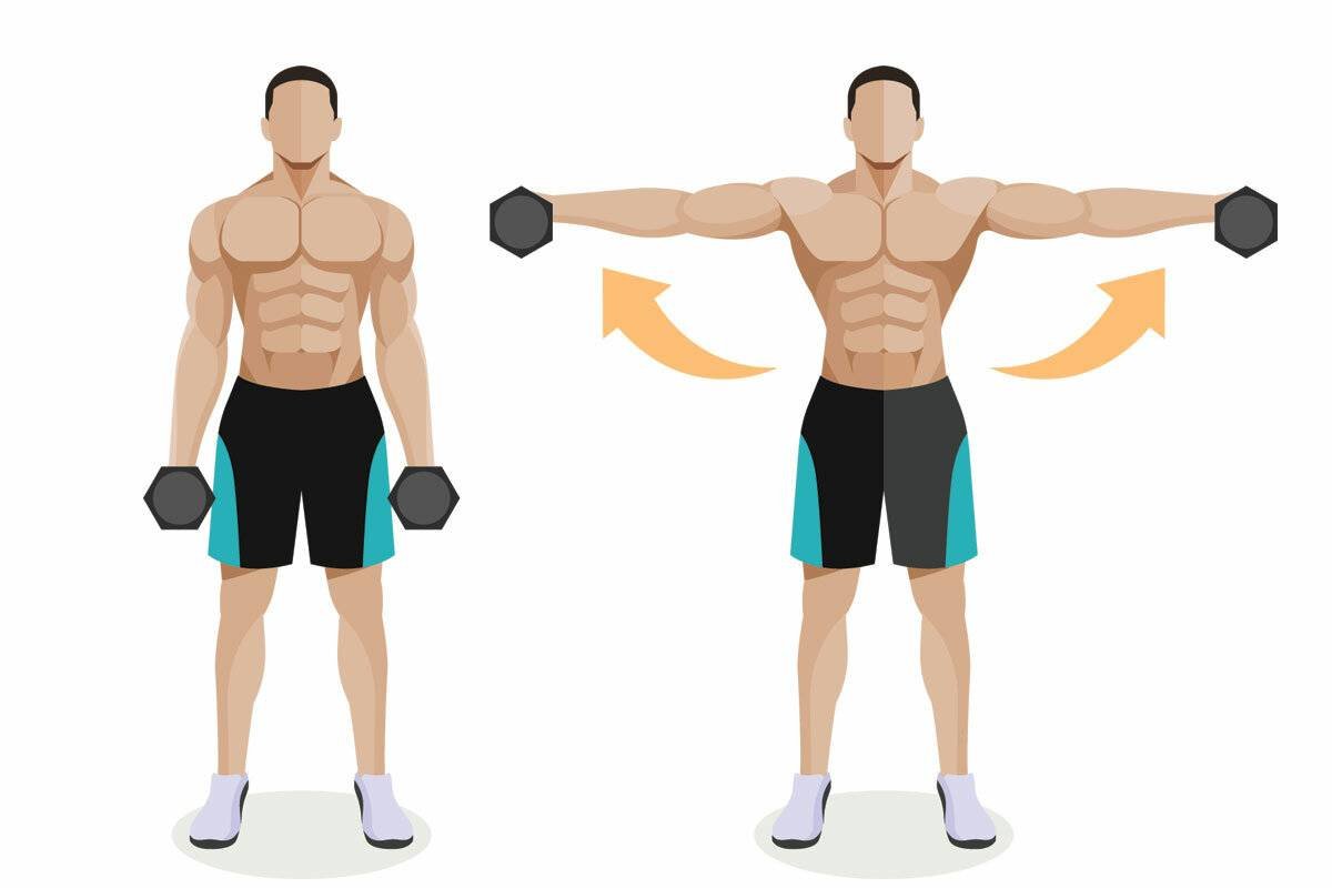 Подъем гантелей через стороны стоя