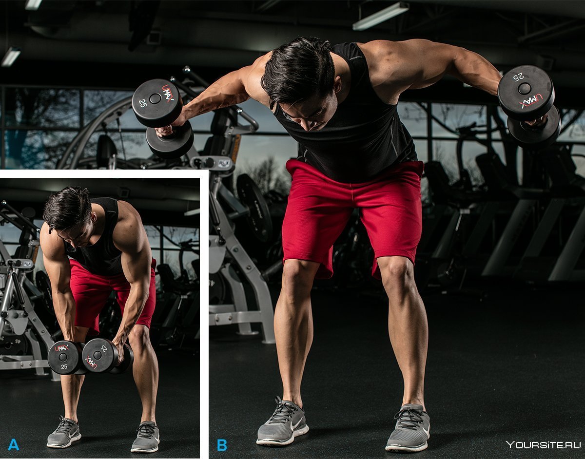 Подъемы(махи) гантелей через стороны