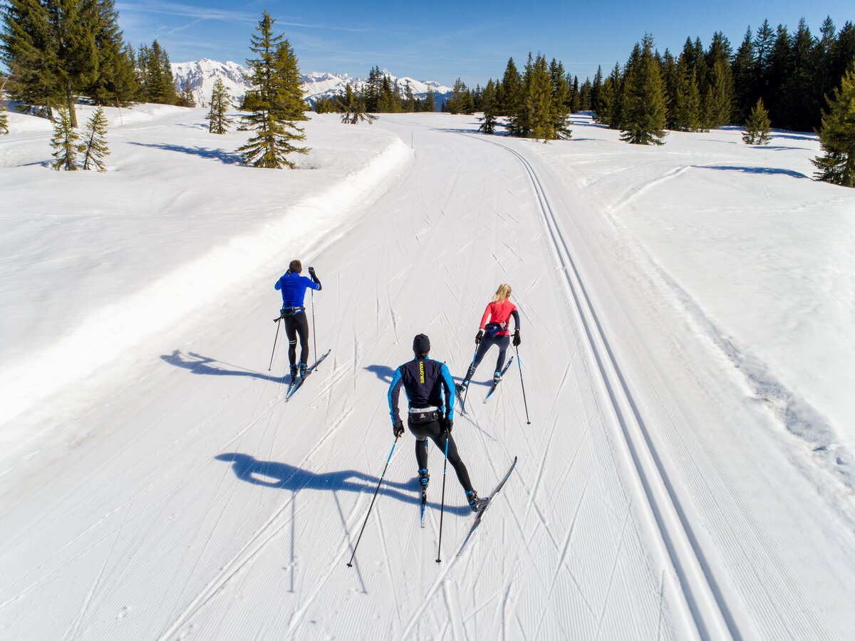 Лыжные палки для имитации лыжного хода