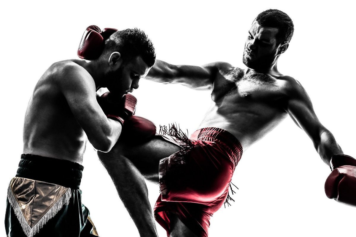 Reflex Boxing punching Bag Pro Boxing