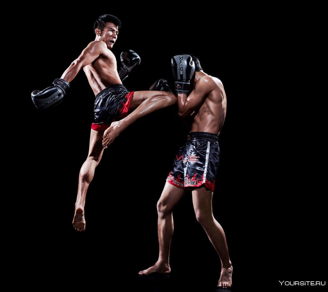 Бокс кикбоксинг тайский бокс