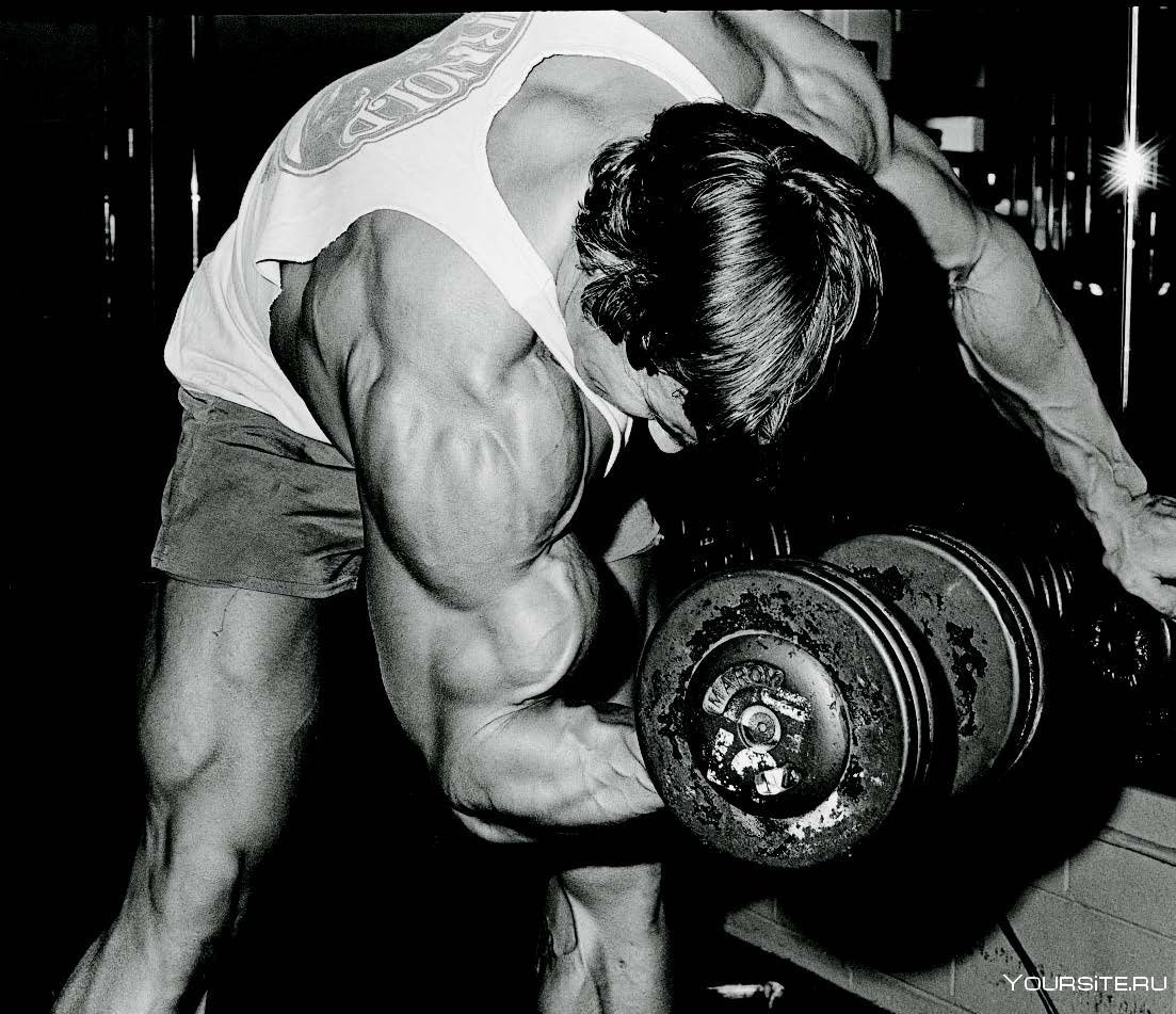 Arnold Schwarzenegger в молодости