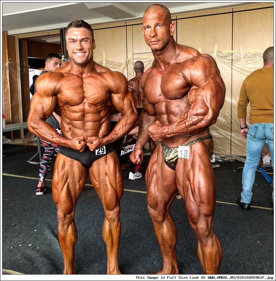 Джефф Сейд с девушками