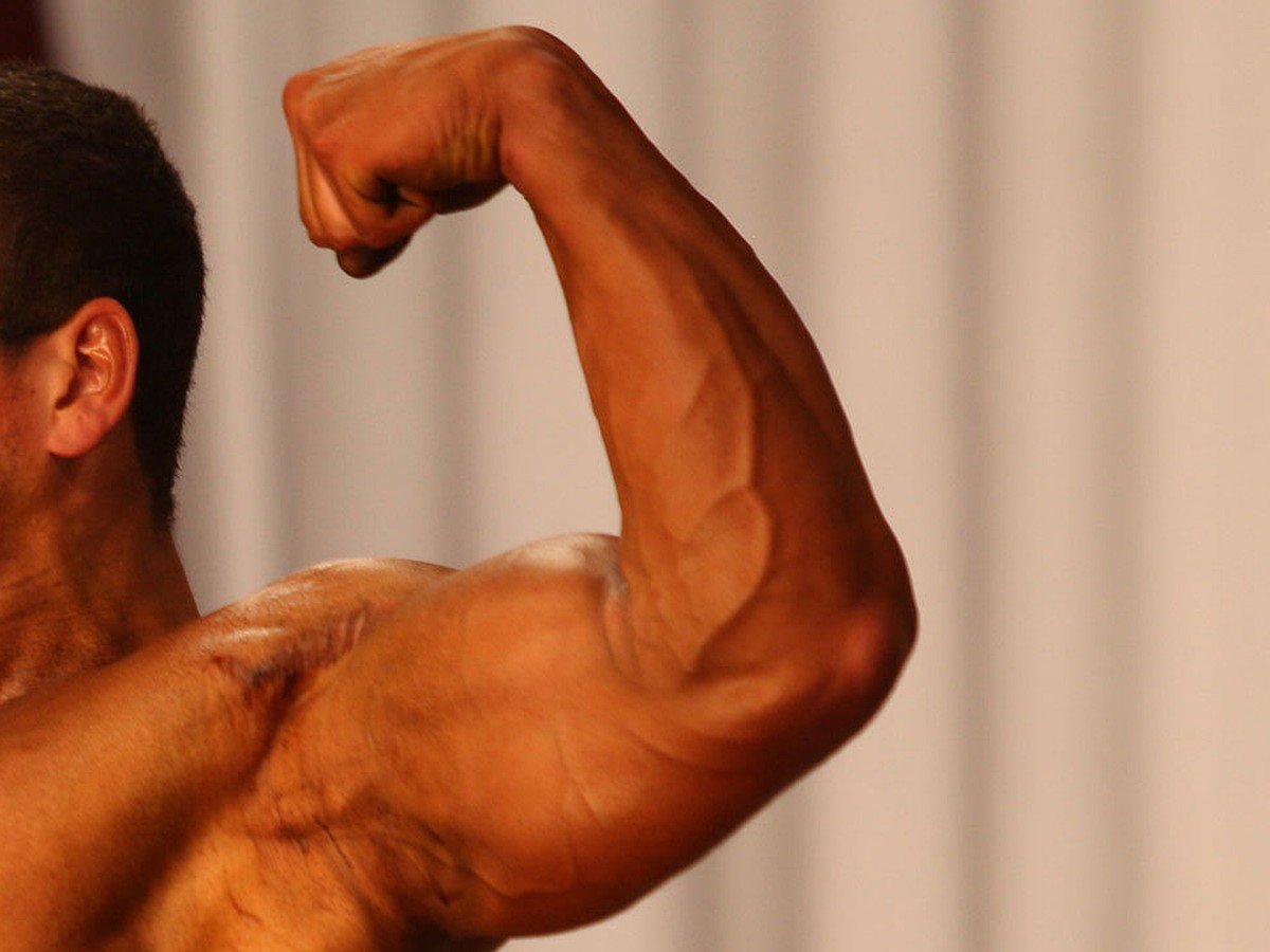 Patrick LEBLANC bodybuilder