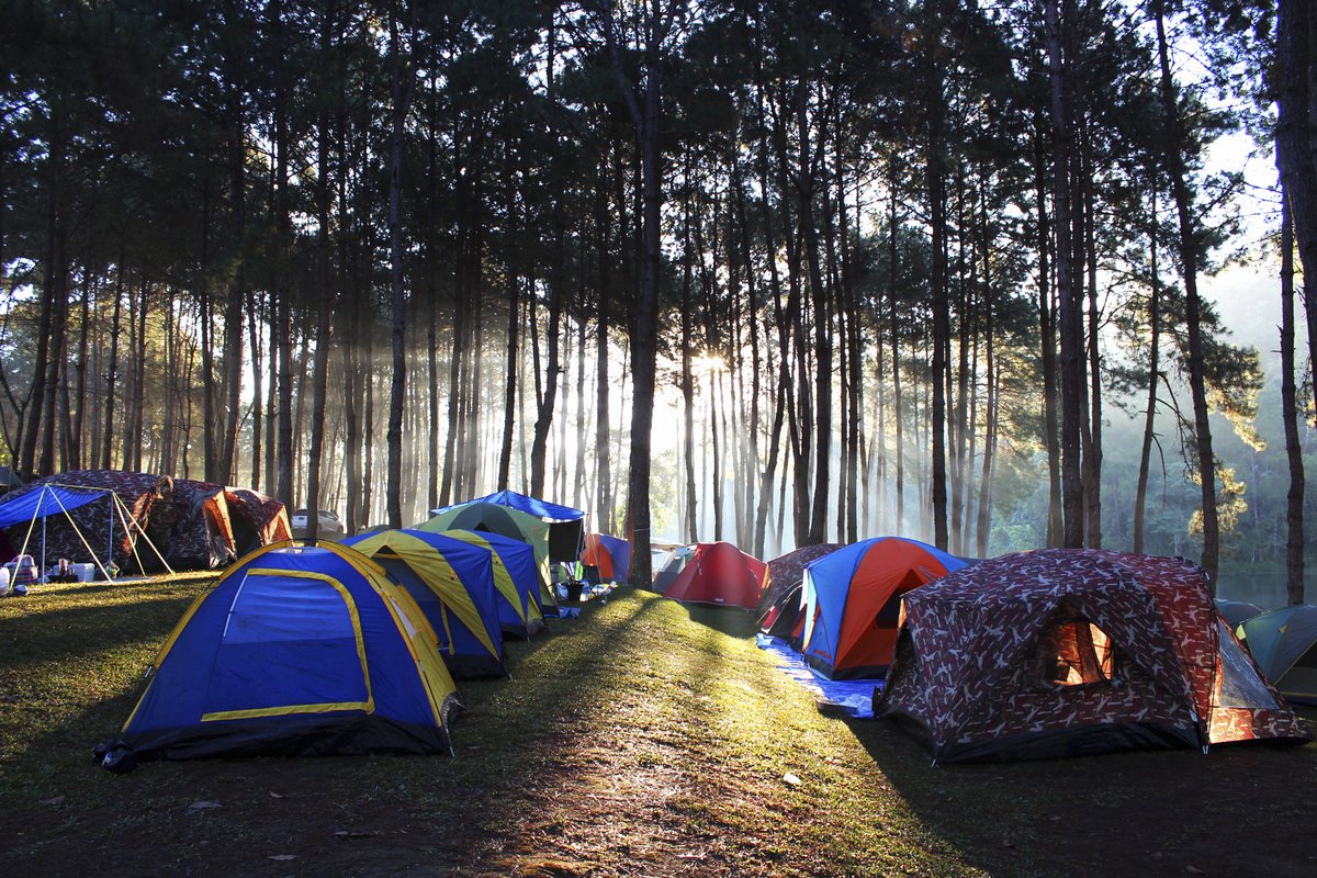 Палаточный лагерь на озере Еловое