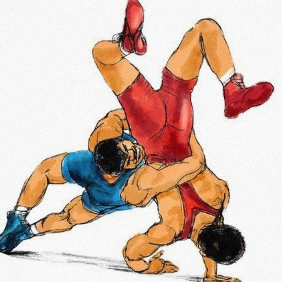 Борцы джиу джитсу