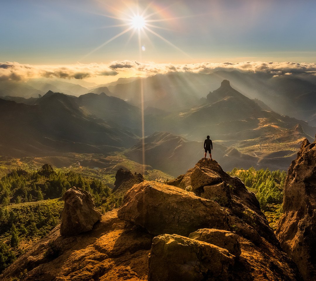 Лето горы озеро цветы солнце