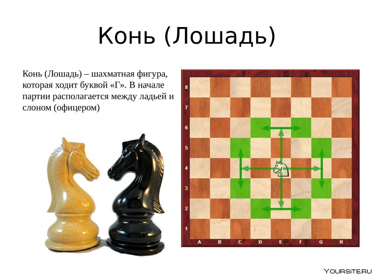 Название шахматных фигур