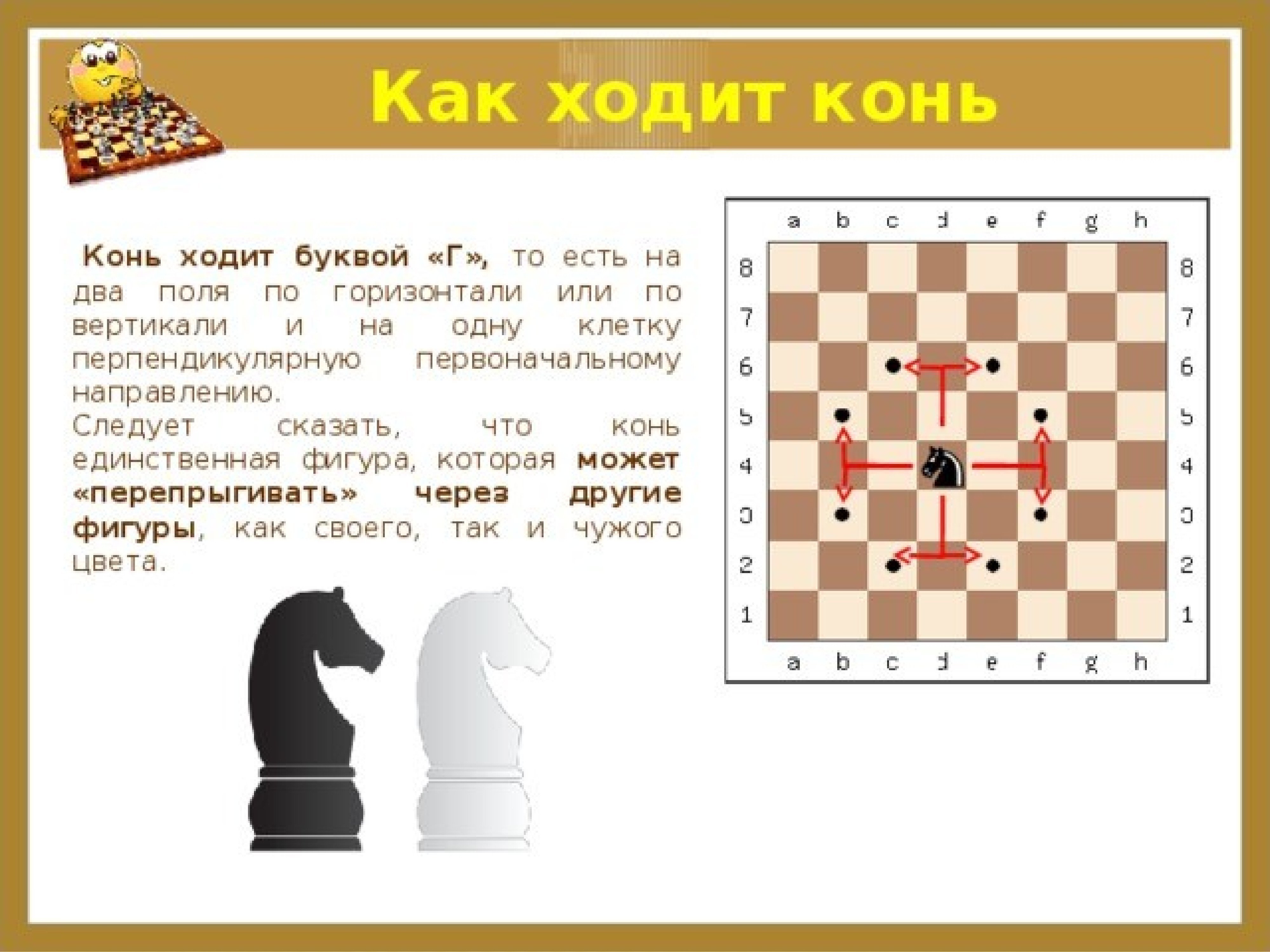 Как ходит Коконь в шахматах
