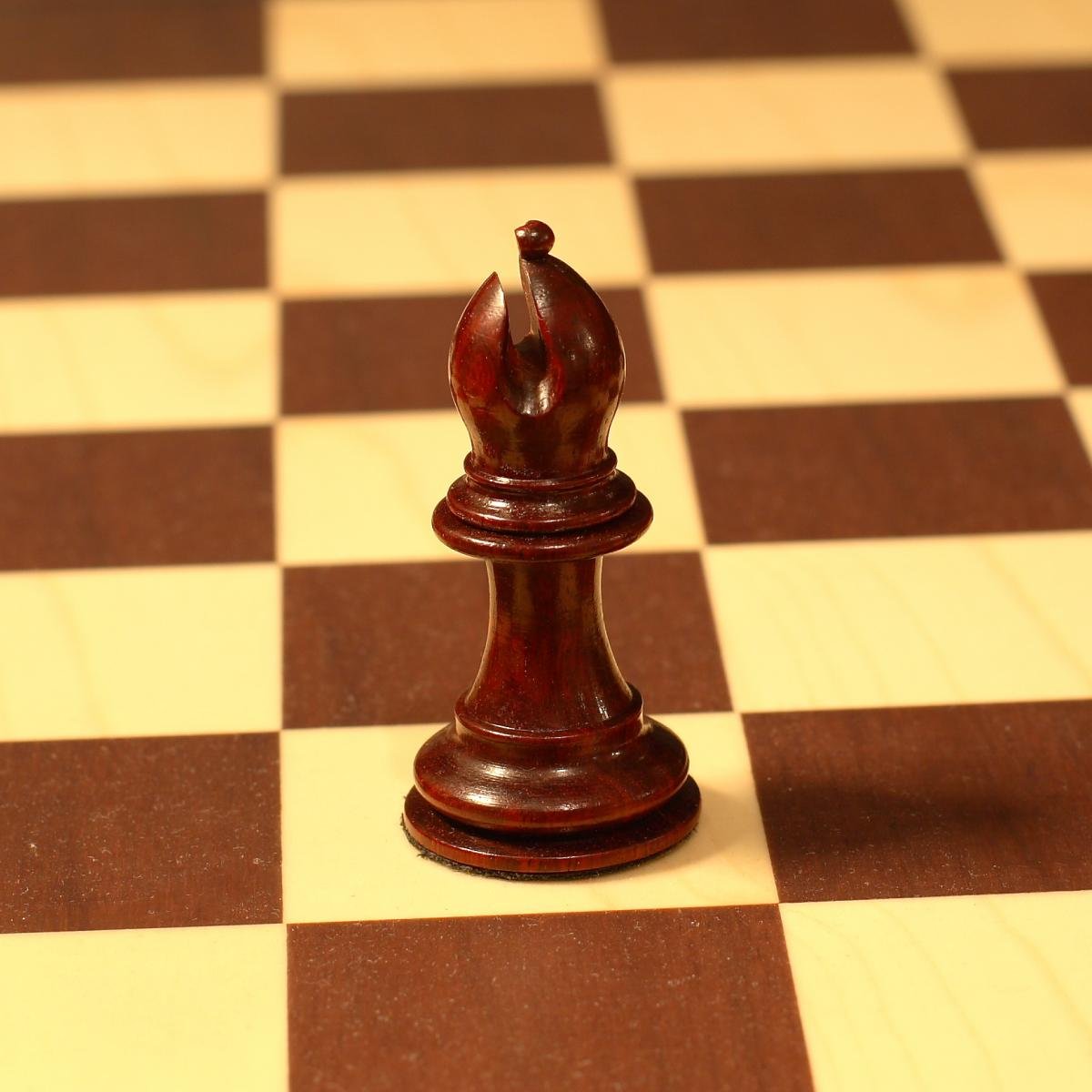 Слон в шахматах