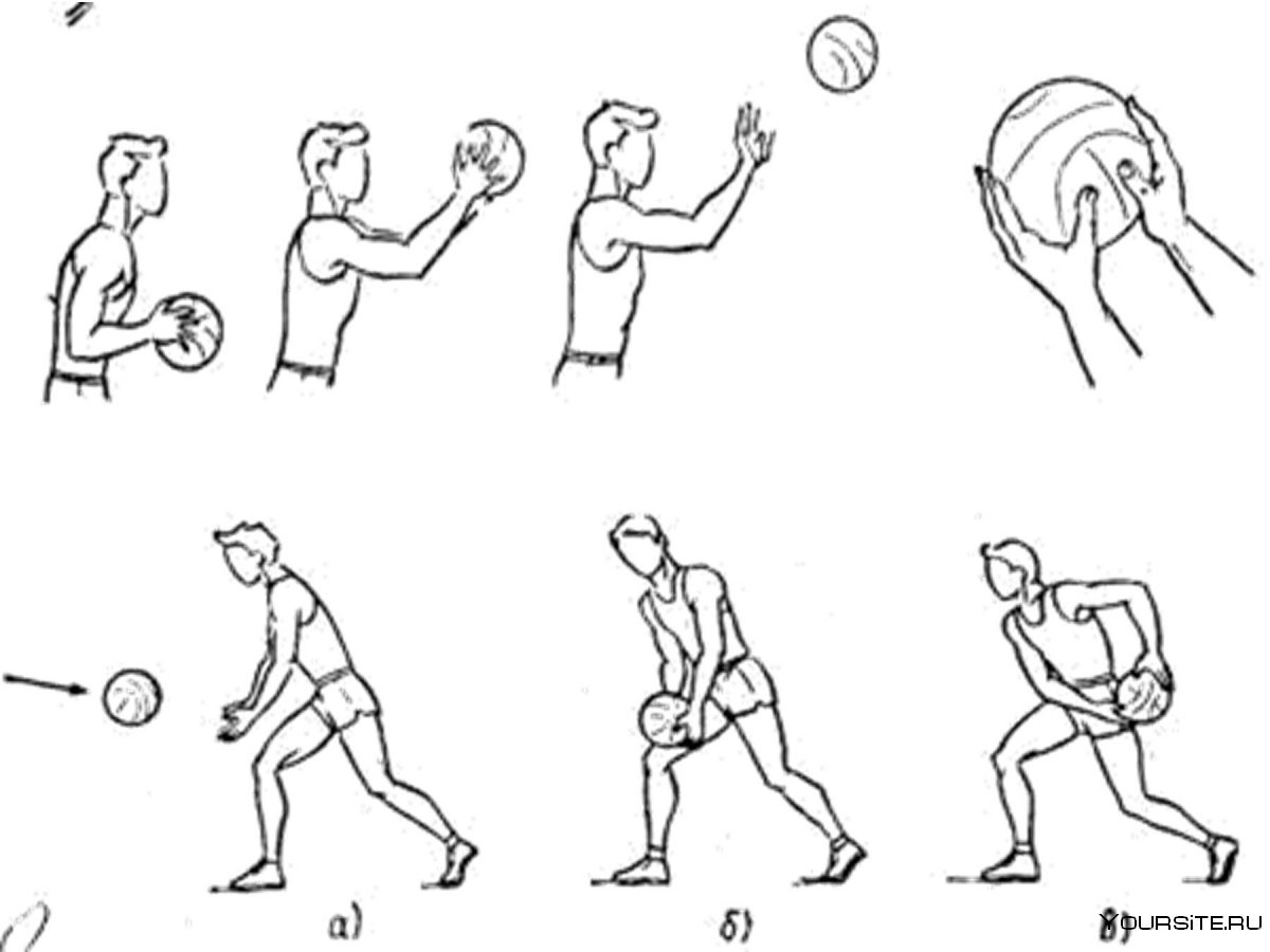 Ведение мяча дриблинг в баскетболе