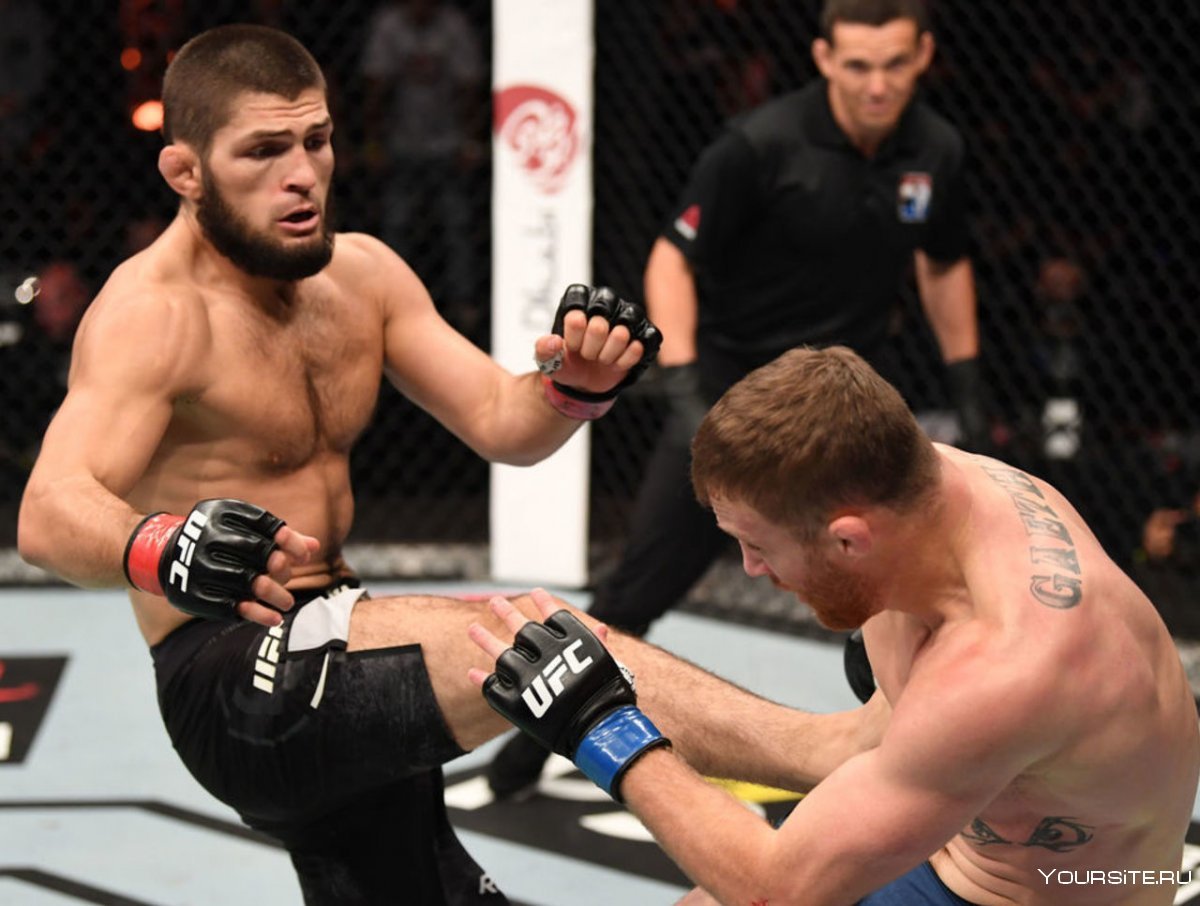 Хабиб чемпион UFC