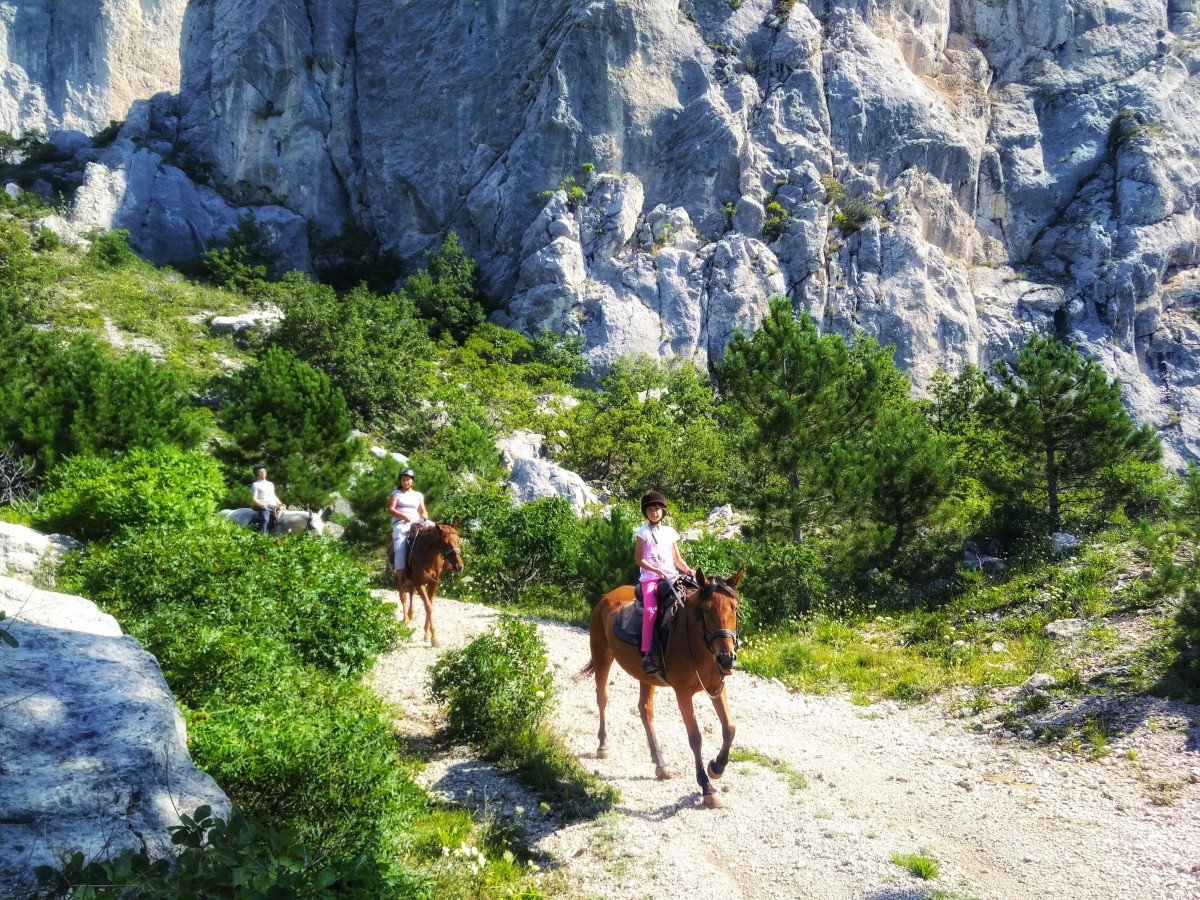 Гора ай Петри конные прогулки
