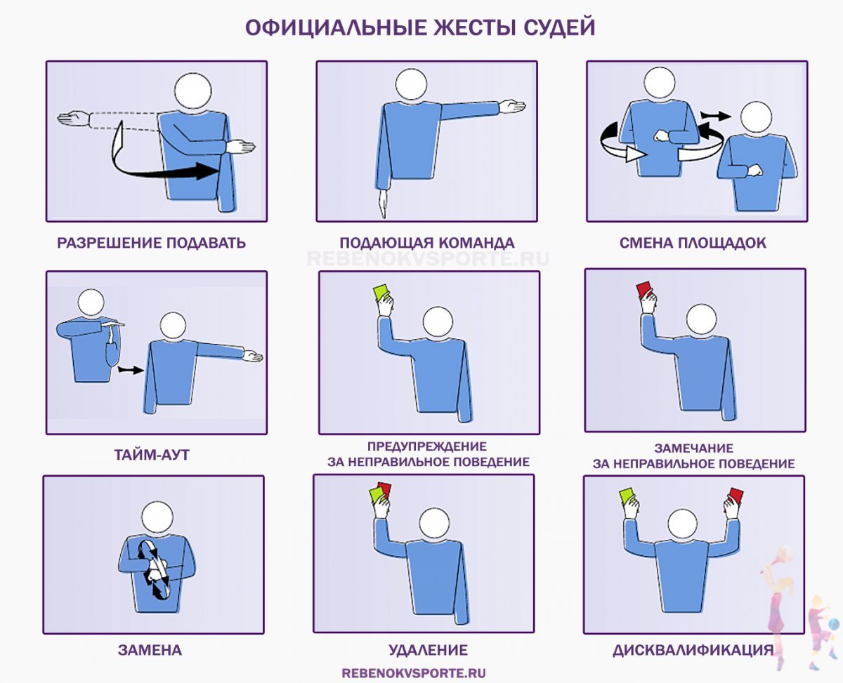 Наглядность в спорте