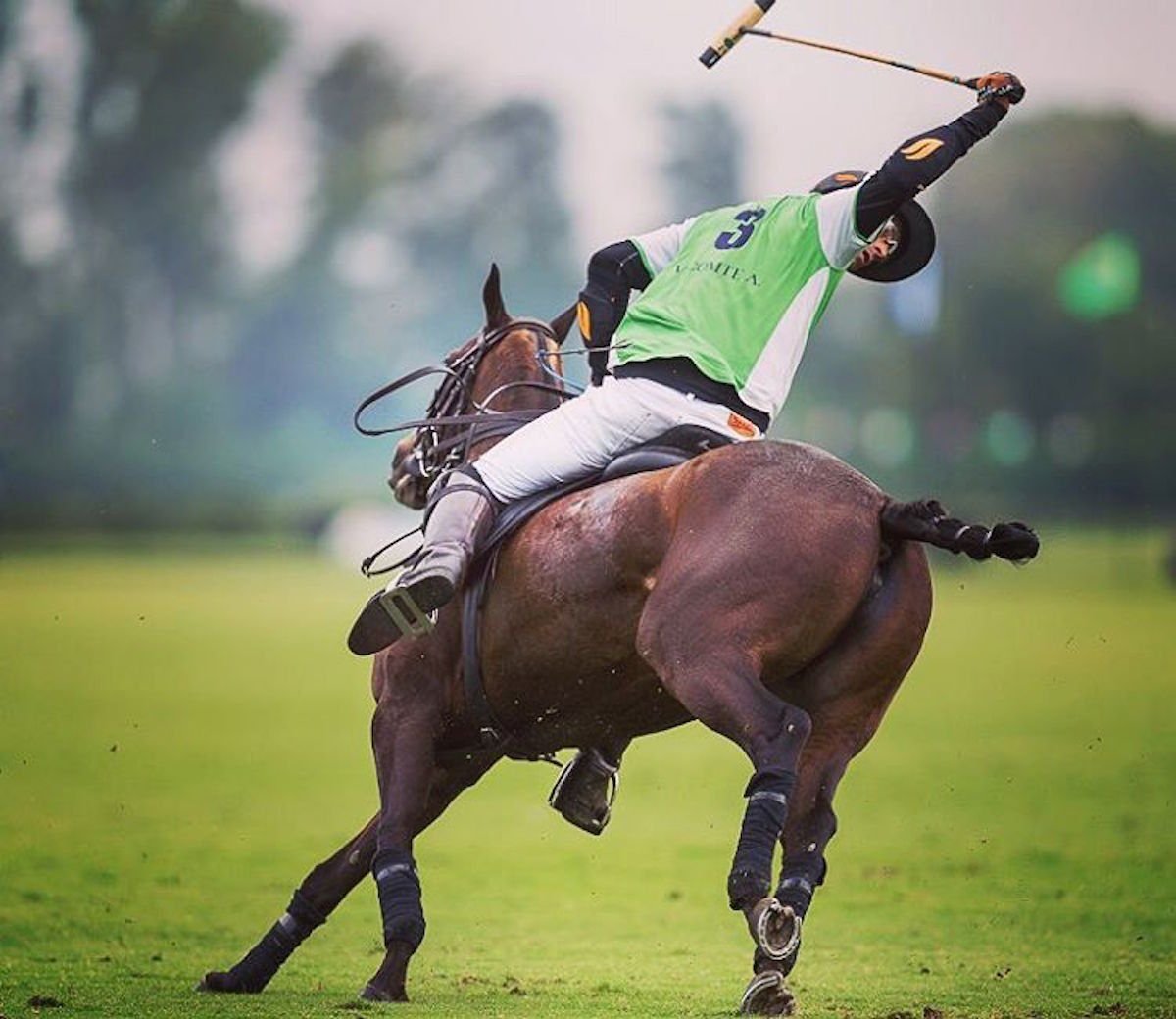 Us Polo Assn Polo
