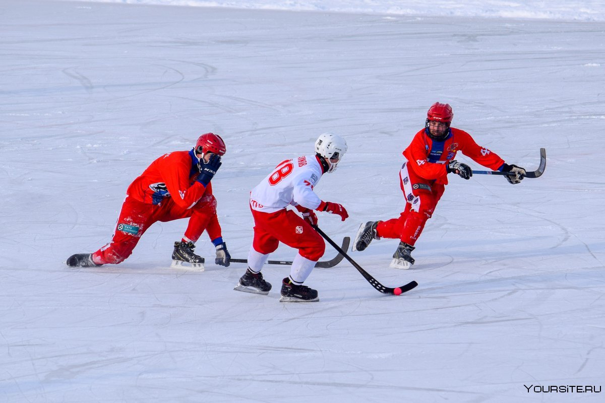 Бенди вид спорта