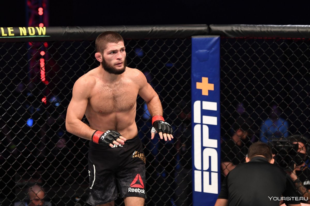 UFC 229: Khabib vs MCGREGOR фильм 2018 кадры