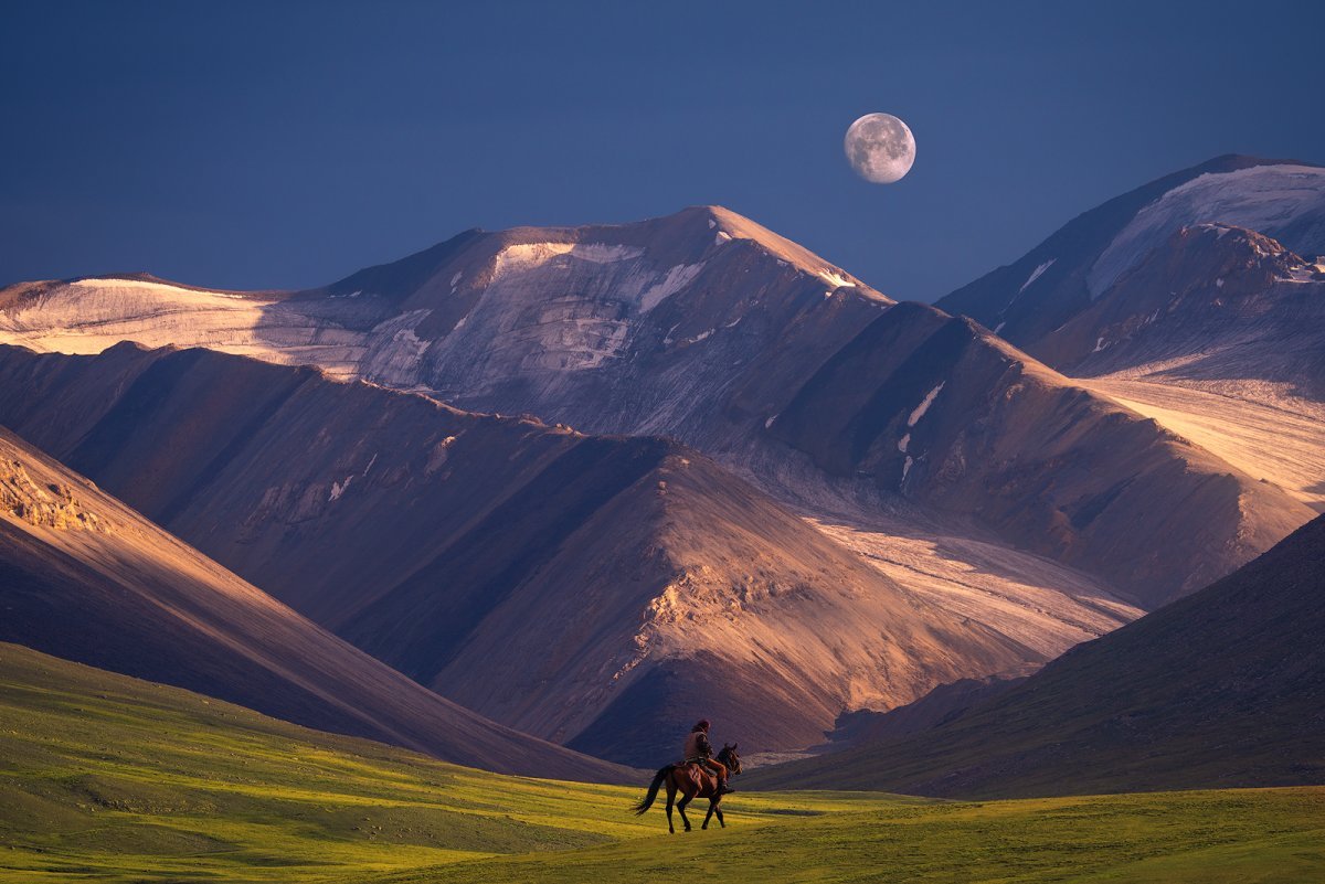 Соколиная охота Киргизия