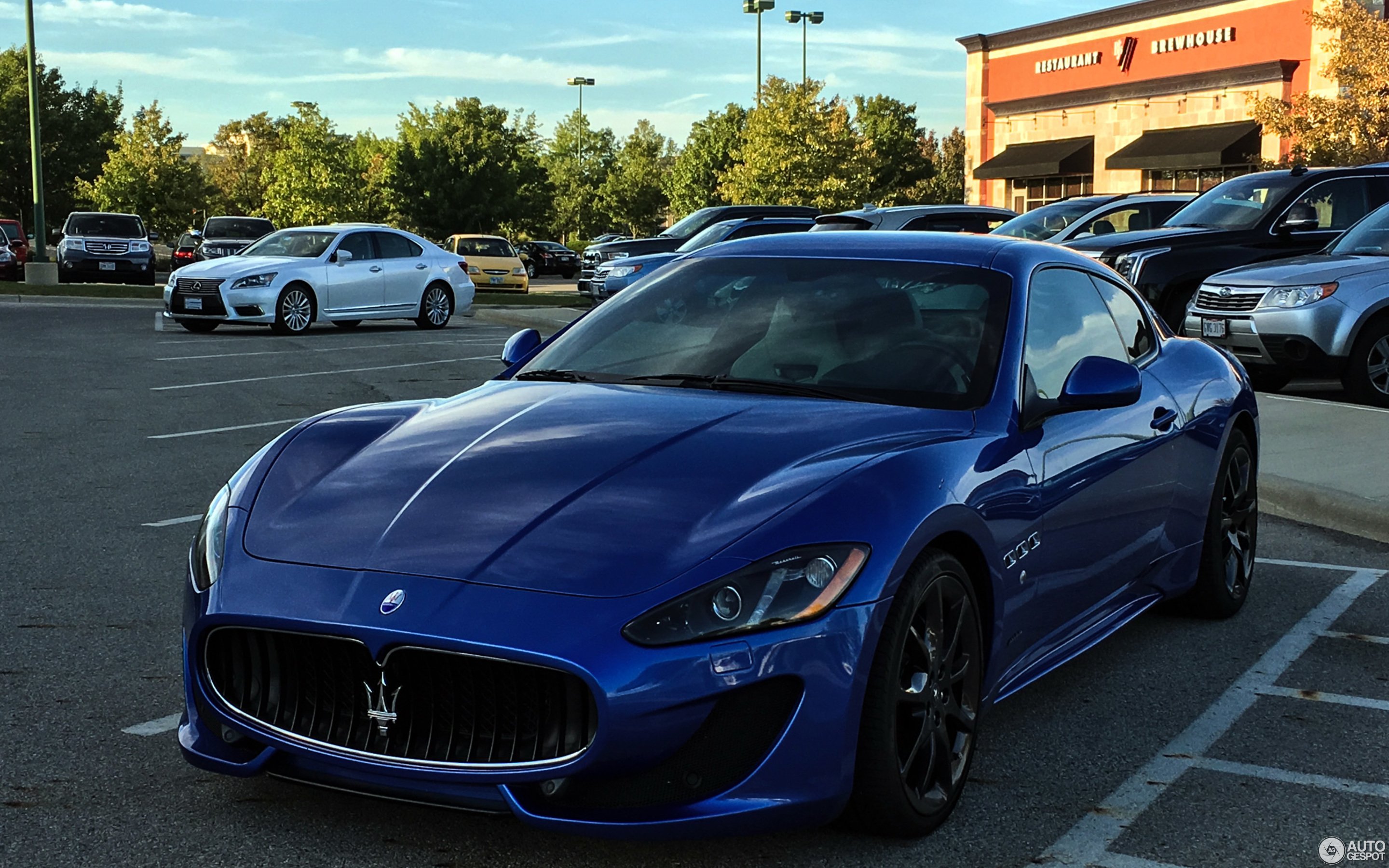 Мазерати гранд туризмо. Maserati Gran Turismo Sport. Maserati GRANTURISMO Sport 2016. Мазерати GRANTURISMO Sport. Мазерати Gran Turismo Sport.