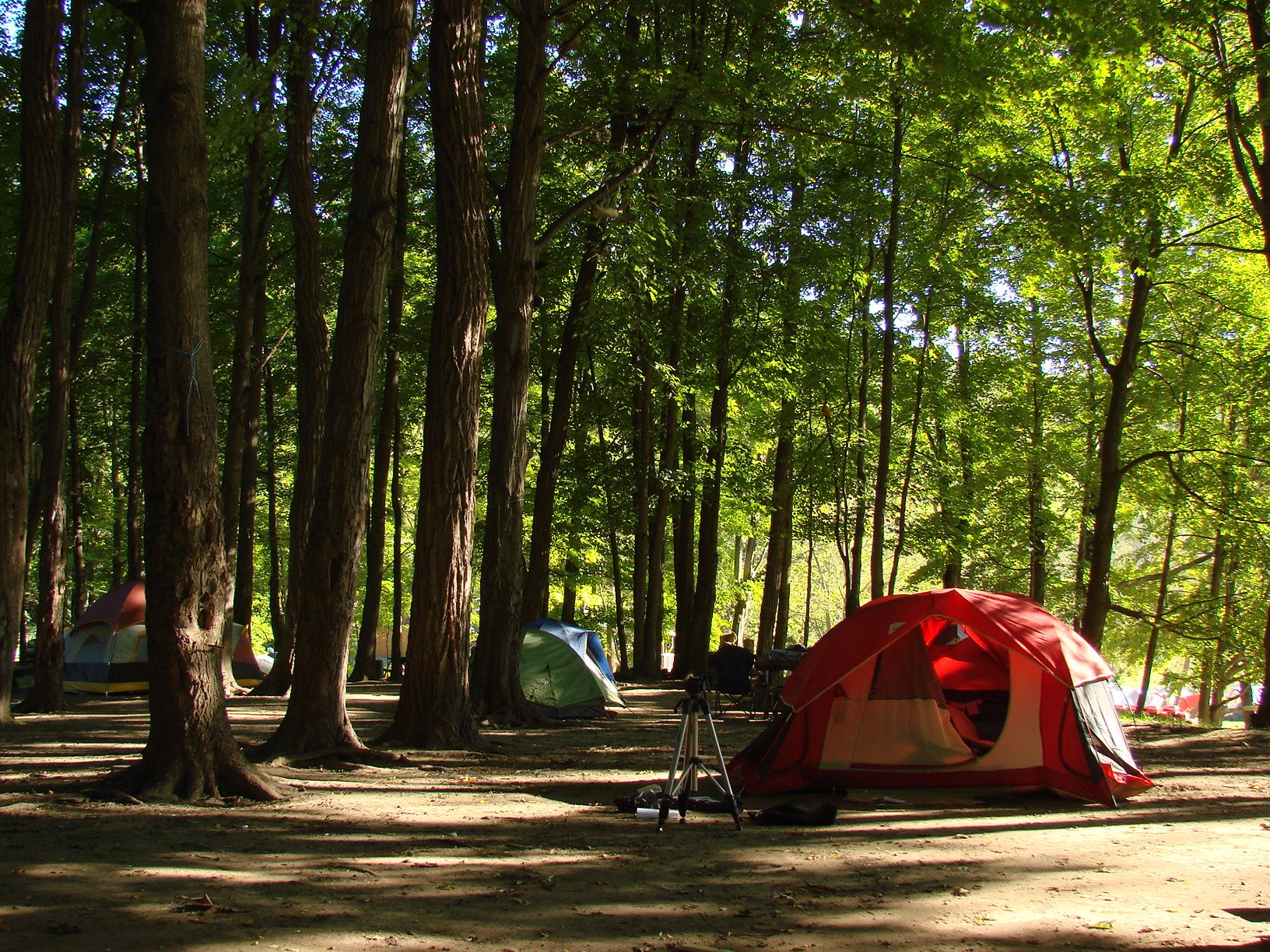 Camping в подмосковье. Палатка в лесу. Кемпинг. Кемпинг в лесу. Кемпинг в Подмосковье.