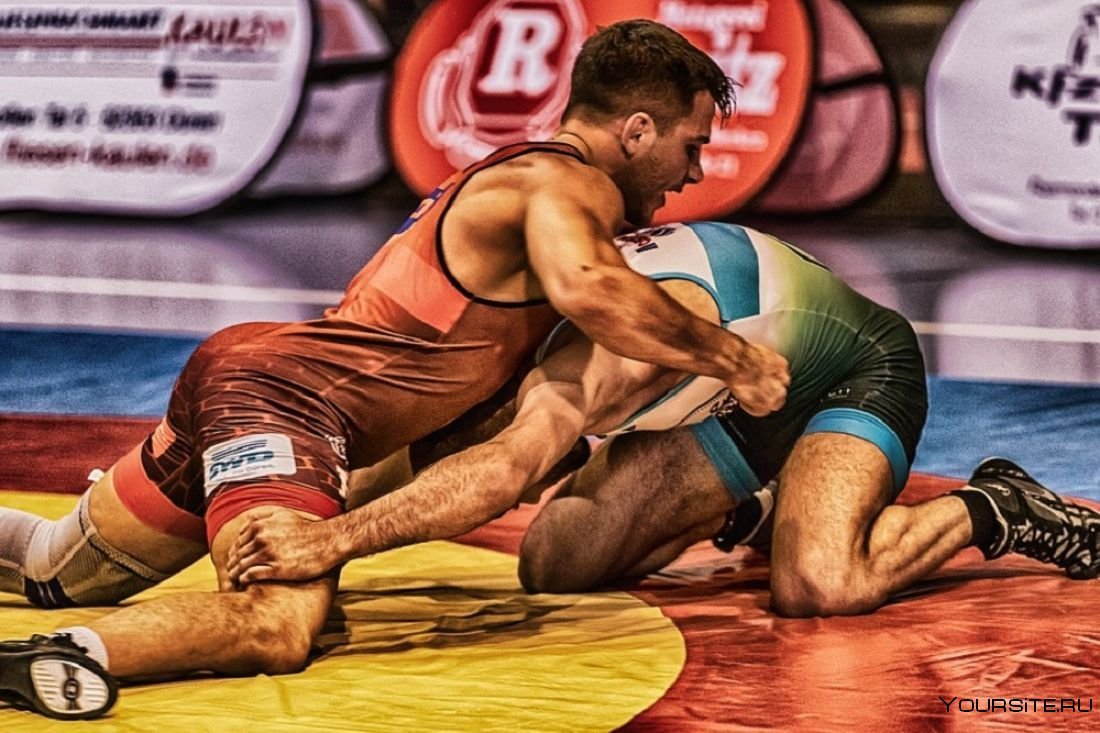 Греко Римская борьба Европейский вид единоборств