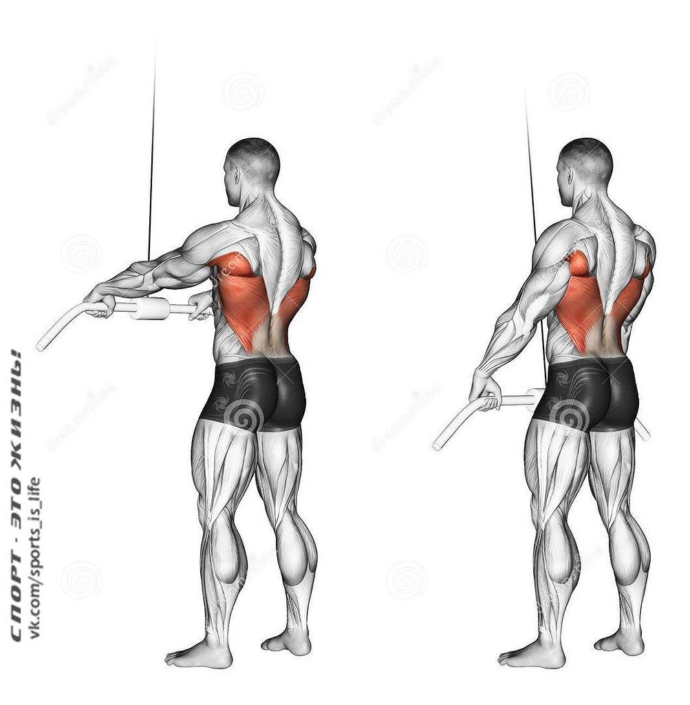 Triceps Rope Pushdown