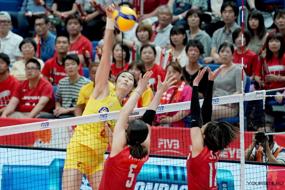 Japan men's National Volleyball Team