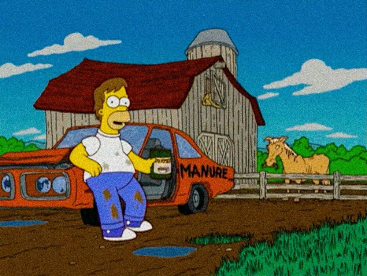 Гомер в машине