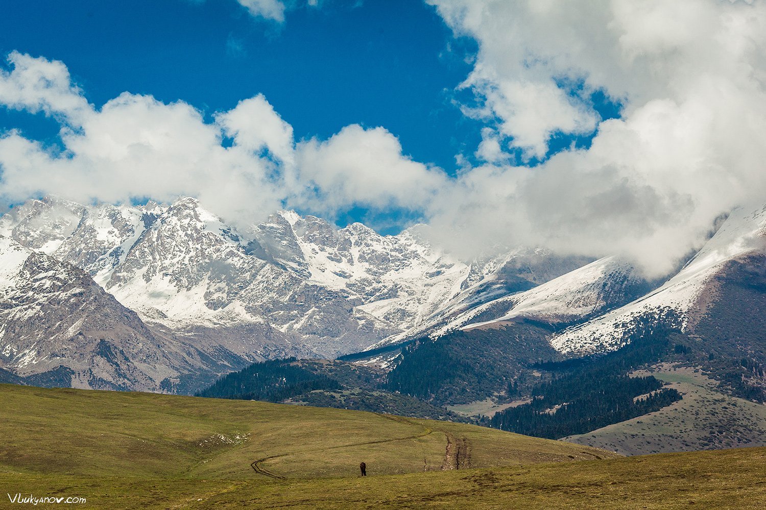 Кыргызстан горы Тянь-Шань